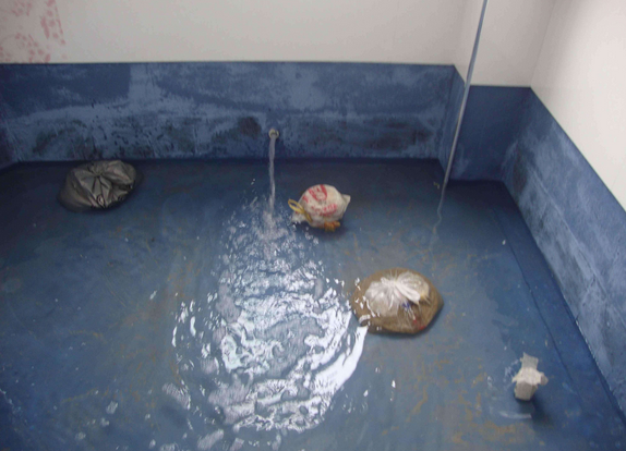 衛(wèi)生間怎么做防水才真正防水 衛(wèi)生間防水 廚房防水 衛(wèi)生間防水步驟 第3張