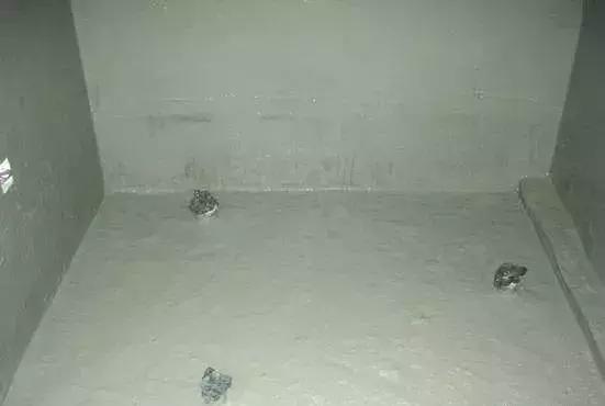 做過(guò)防水后 墻面瓷磚起鼓、脫落，誰(shuí)的問(wèn)題？ 衛(wèi)生間防水 JS防水涂料 防水施工 第2張