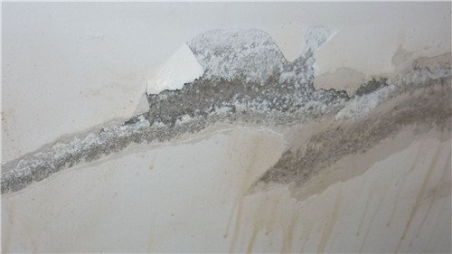 防水補漏施工注意事項 原來開裂滲水的原因在這里 防水層破損 防水補漏施工 開裂滲水的原因 第1張