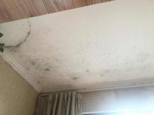 樓上陽臺(tái)漏水不做防水漏到我家怎么辦 第4張