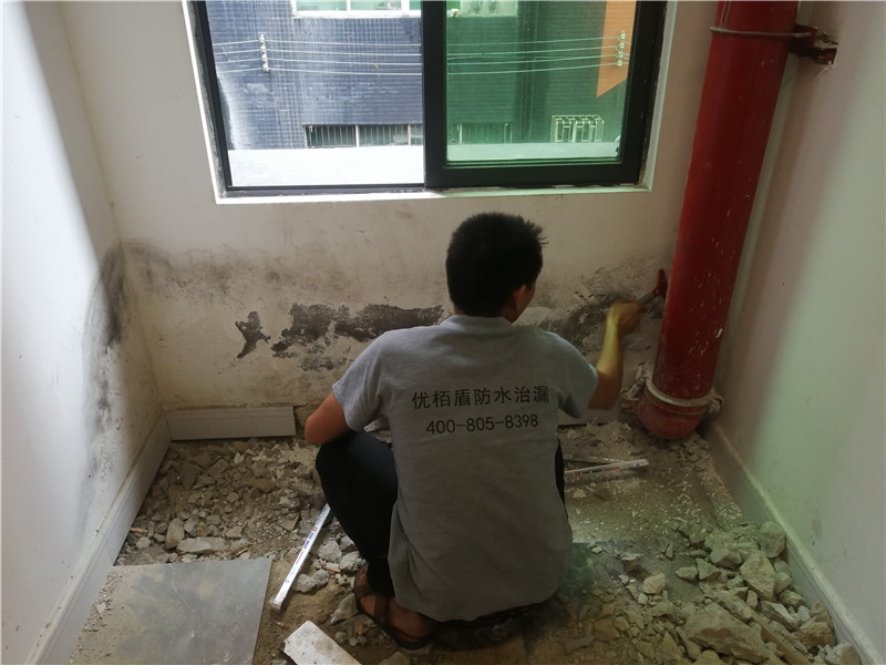 墻面發(fā)霉脫落防水