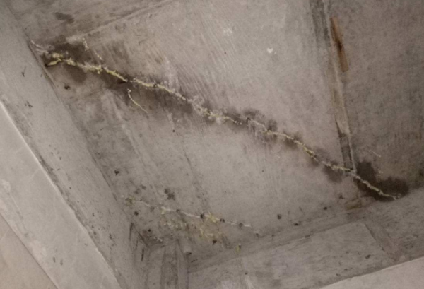 樓上滲水和外墻滲水區(qū)別