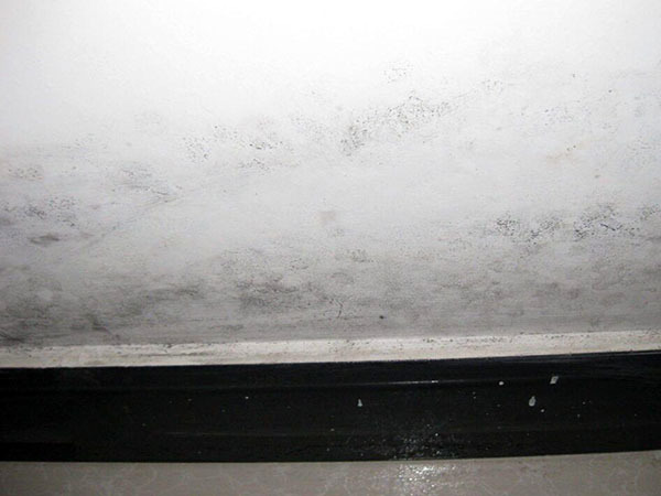 墻面返潮和滲水的區(qū)別