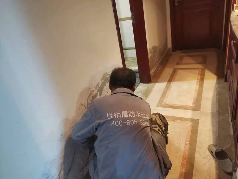 室內(nèi)墻面發(fā)霉防水修補