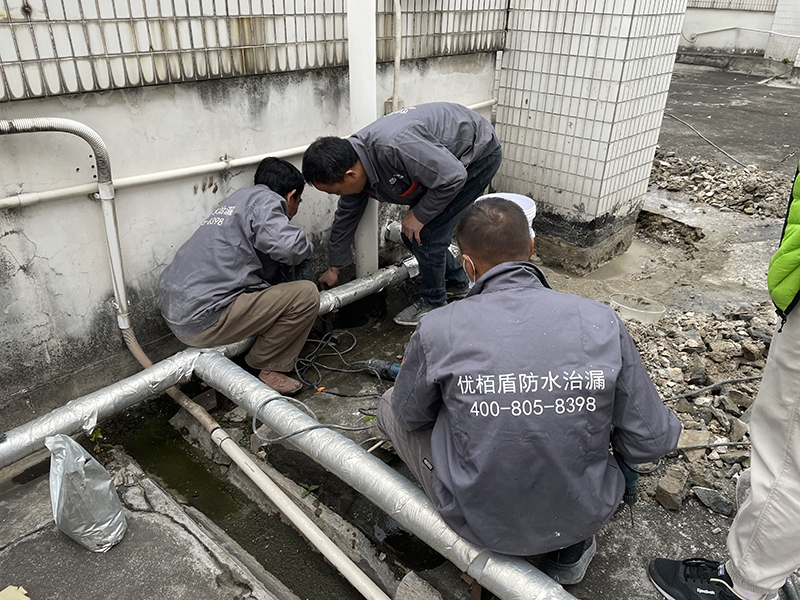 微信圖片_20231208164823 拷貝.jpg