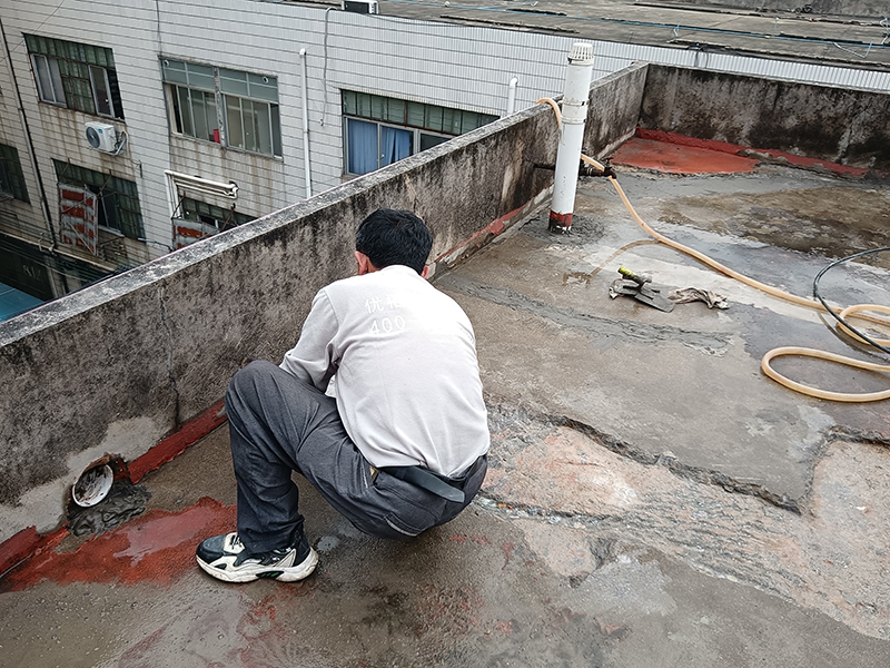 微信圖片_20240412164441 拷貝.jpg