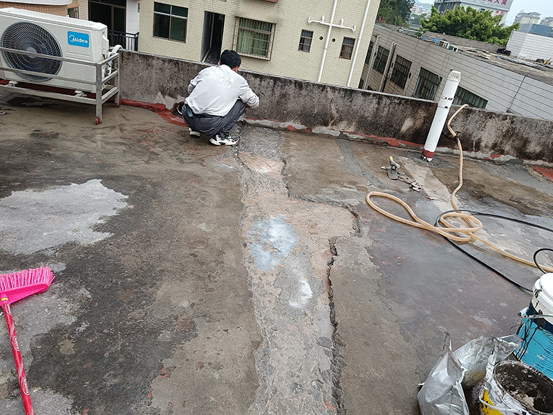 微信圖片_20240412164423 拷貝.jpg