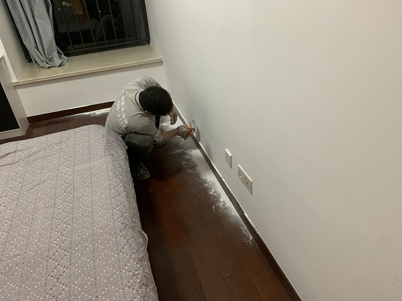 微信圖片_20241210155447 拷貝.jpg