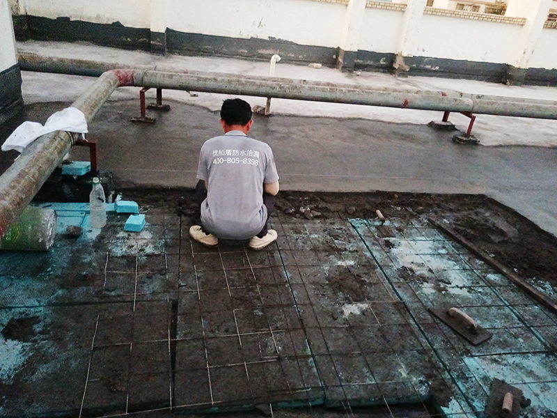 微信圖片_20240919120011 拷貝.jpg