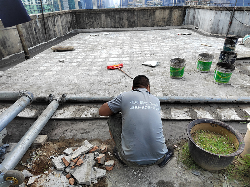 樓面整體防水