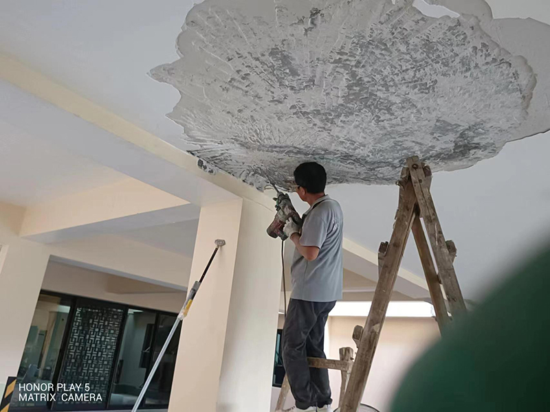 微信圖片_20240719172541 拷貝.jpg