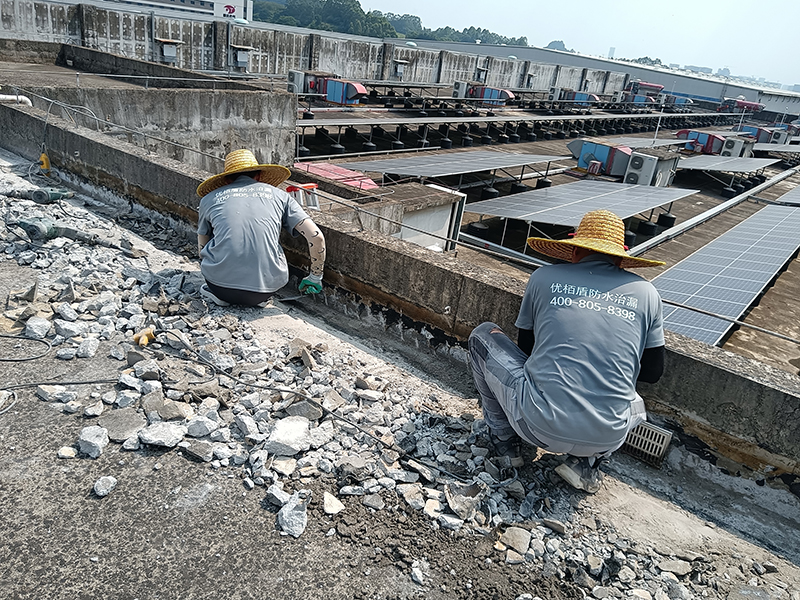 微信圖片_20240810160602 拷貝.jpg