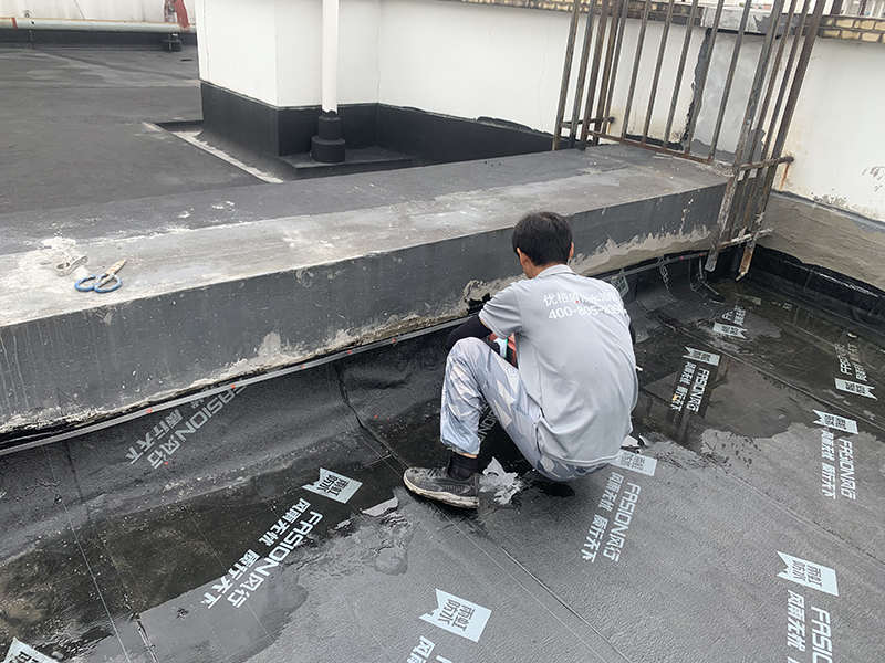 微信圖片_20240828144746 拷貝.jpg