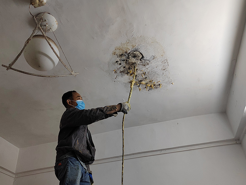 微信圖片_20250401102512 拷貝.jpg