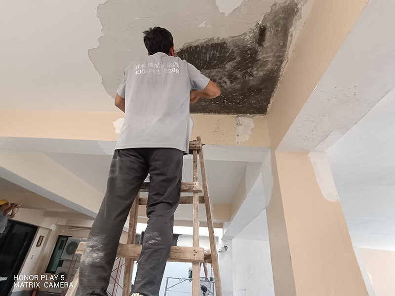 微信圖片_20240801172619 拷貝.jpg