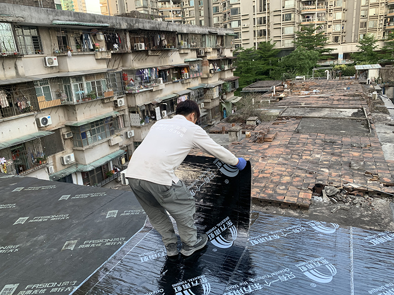 微信圖片_20250424154010 拷貝.jpg