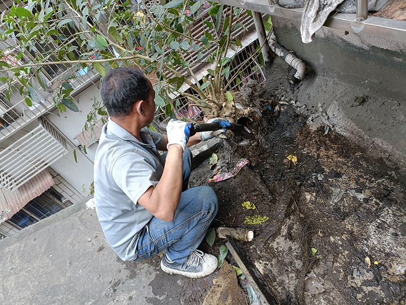 微信圖片_20250408163548 拷貝.jpg