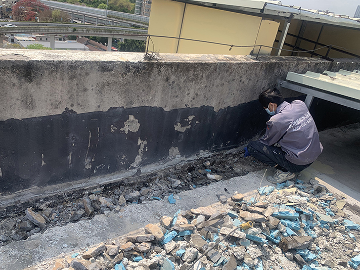 微信圖片_20250401103934 拷貝.jpg