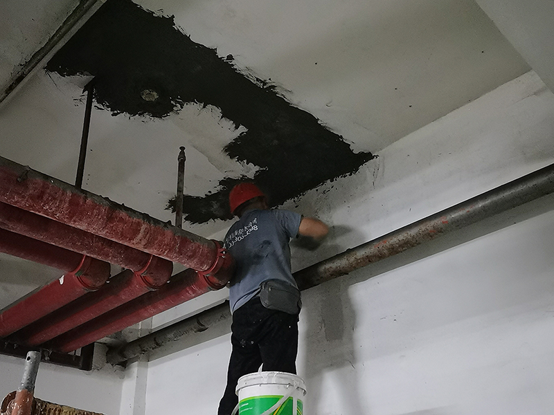 微信圖片_20241210151558 拷貝.jpg