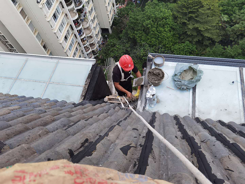 （嶺南新世界）瓦面屋頂防水補漏修繕