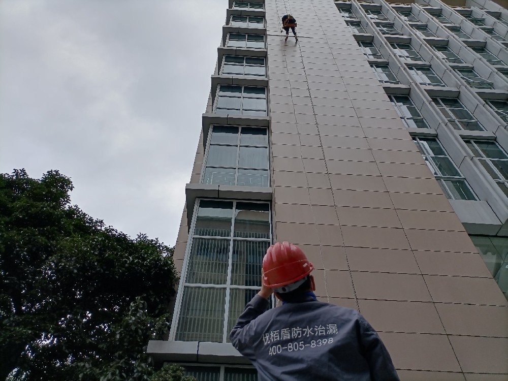 外墻防水系統(tǒng)-墻面滲漏案例